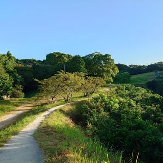 大きく深呼吸してから出発。