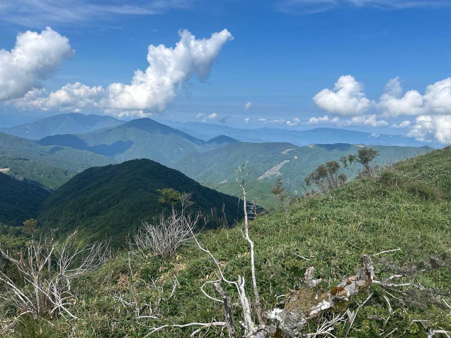 落合峠-落禿-前烏帽子山-烏帽子山 往復コースの写真