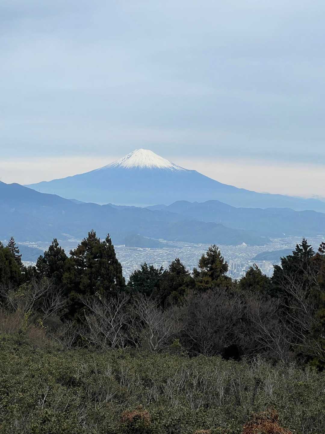 鞍掛峠-満観峰-日本坂峠 周回コースの写真