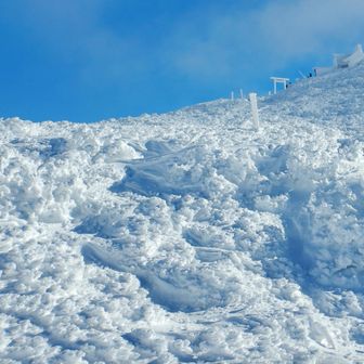 レストハウス脇