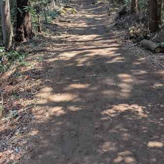 ランも出来る🏃