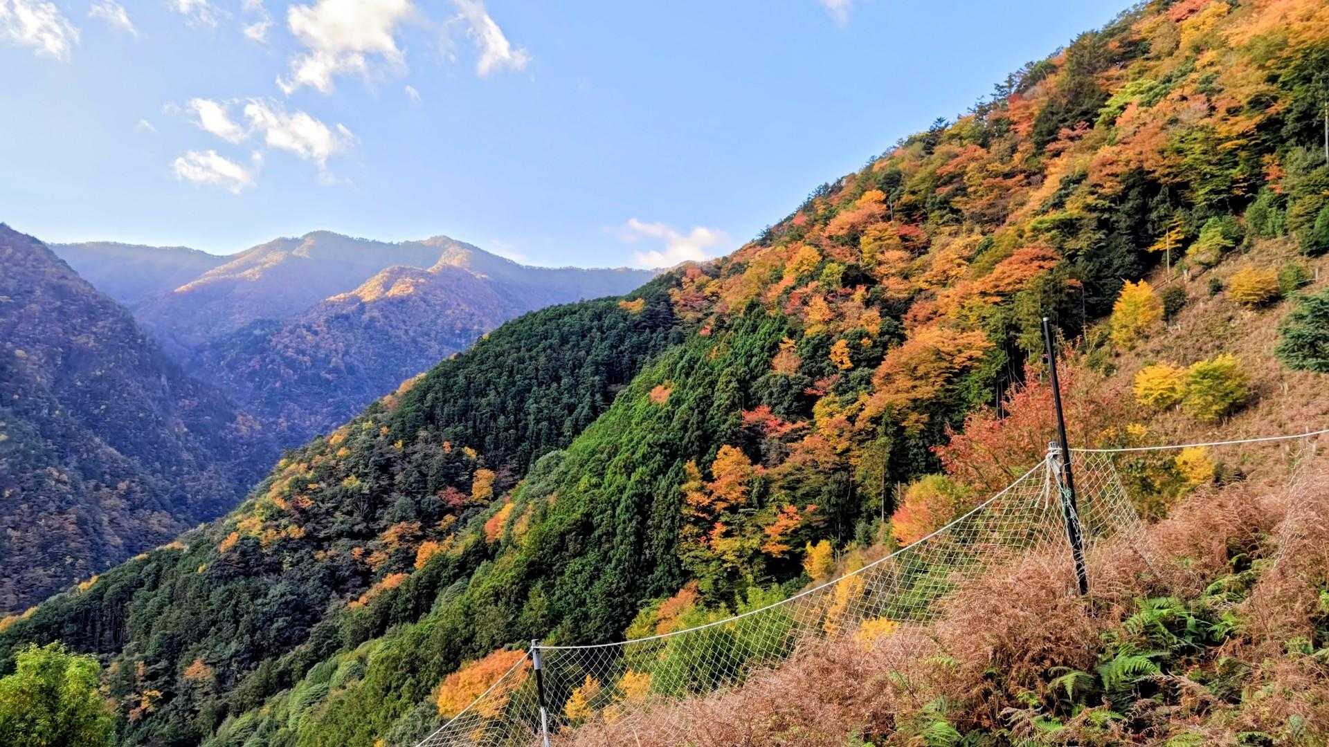 頂上と山腹の紅葉