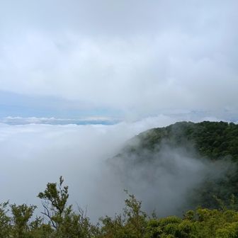下りの途中