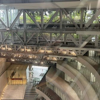 8階まで上がれます。
写真の緑の部分が多分登山道。
ここまででも無事にピークは取れていました。
山というよりビル。
よくこれでピーク認定取れたな....。