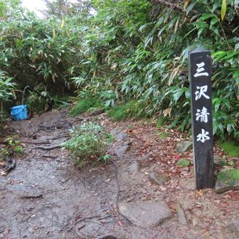 7時過ぎに2つ目の💧場到着🫡
水場多いのはありがたい

水うまし😆