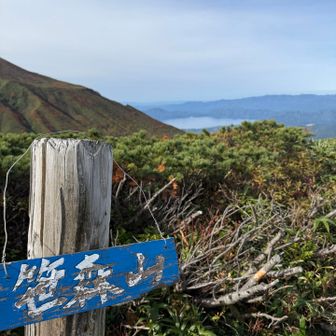 笹森山！