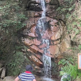 まずは「高座の滝 」落差は10m
近くのおばさまたちが楽しそう♪
(芦屋のマダムたちかしら☺️)
毎朝来て体操したりおしゃべりしたりしてるんだって。
「何年後に来てもいると思うからまた来てね」って😊
「北陸の雨大丈夫なの❓」と聞かれてその時は知らなかったのですが、石川富山大変な災害ですね☔️😰