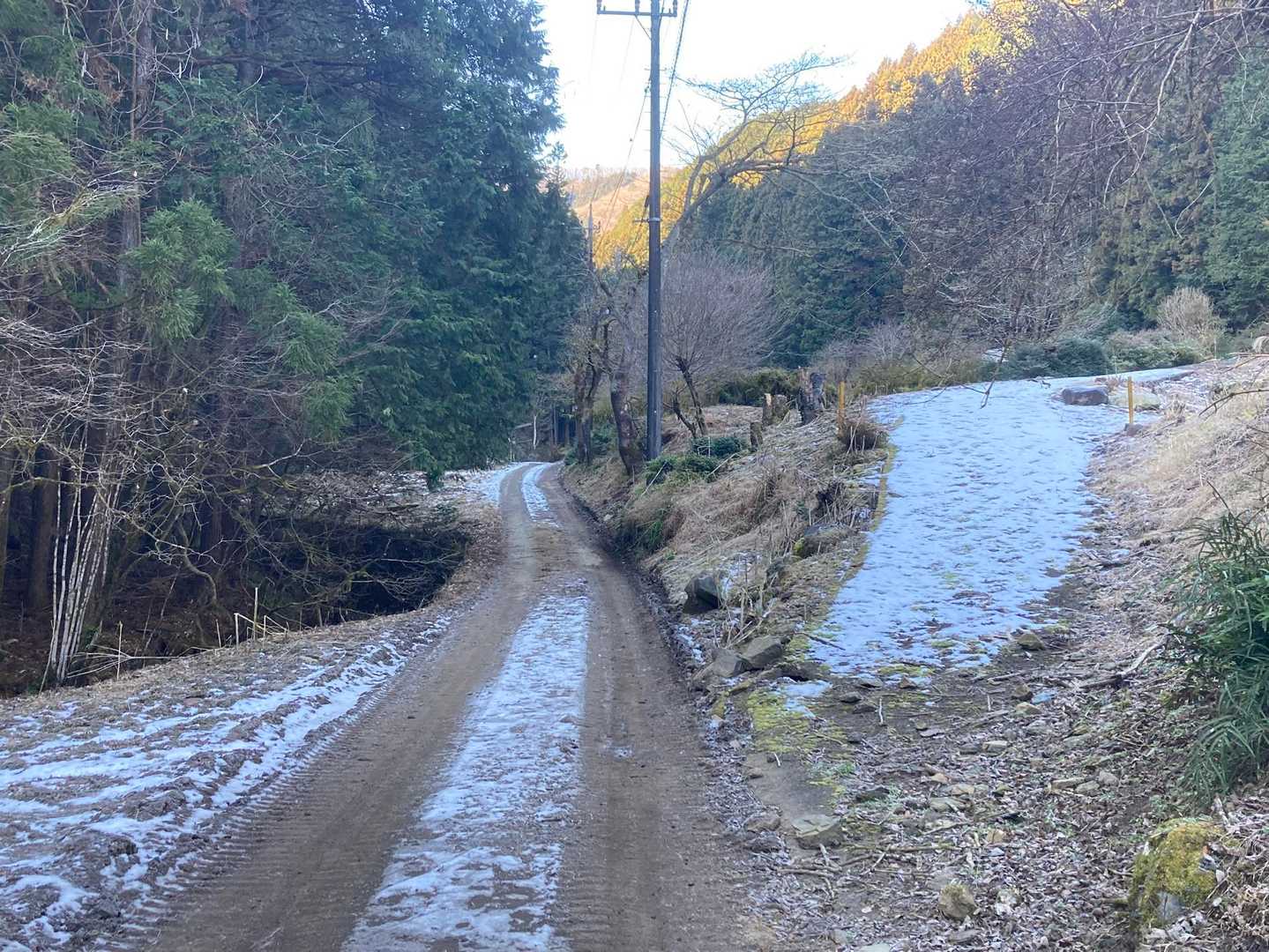 ❄️が残ってる😨心配しましたが、杞憂に終わりました😃