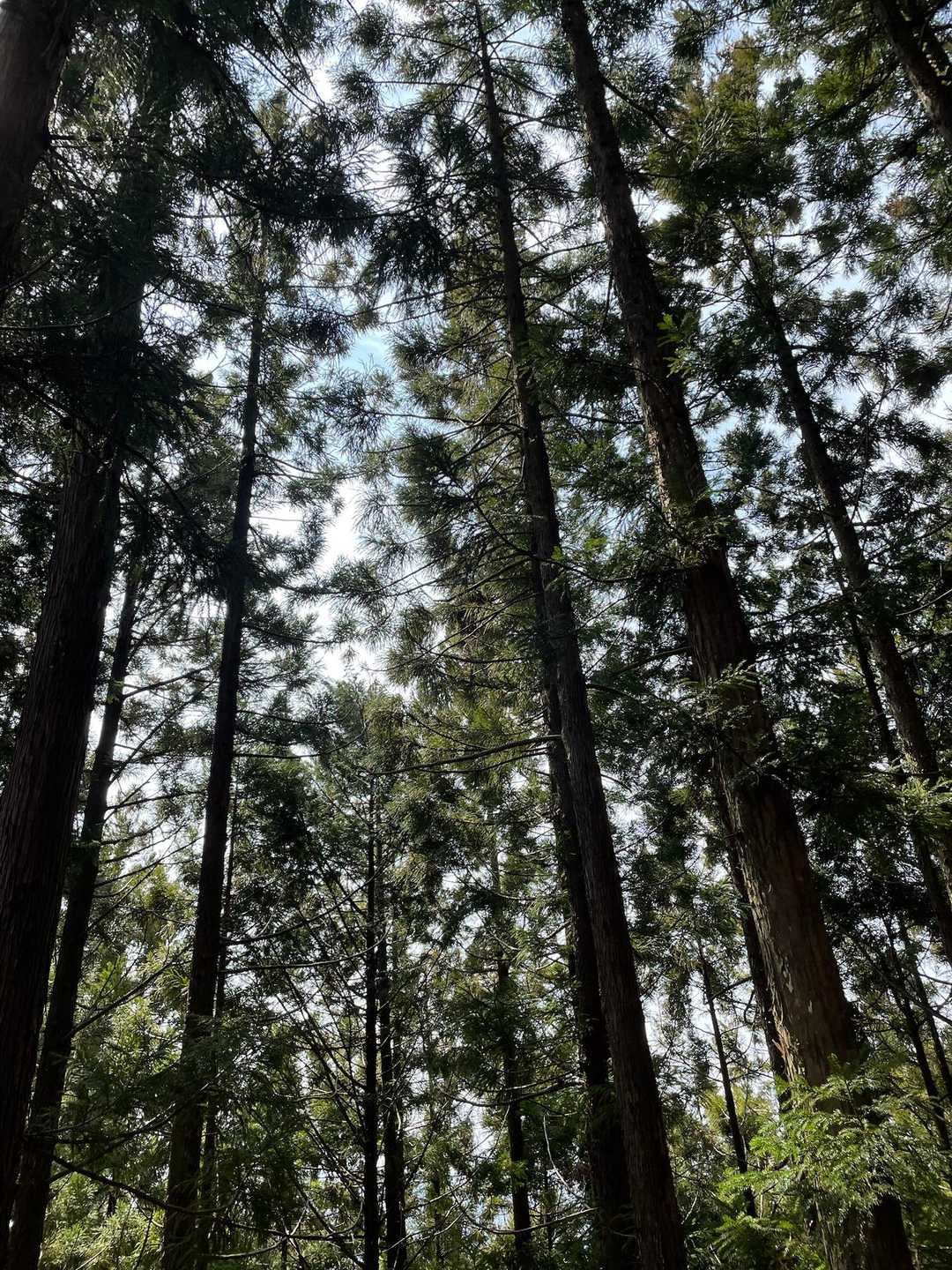 ちょっと天気回復?😁