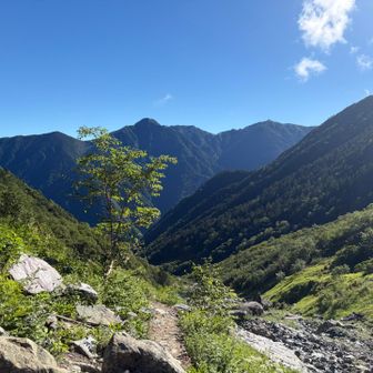 この左俣コースは沢沿いを上ります。前穂の岳沢ルートに似ています。