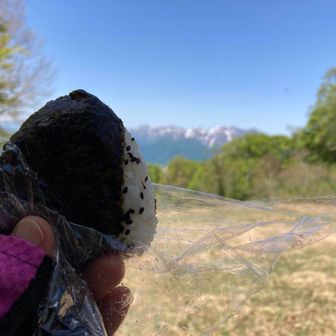 ねきぼうずまま