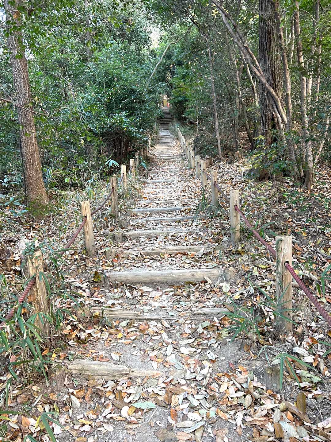東谷山散策路入口-東谷山-尾張戸神社 鳥居-南参道登山口 周回コースの写真