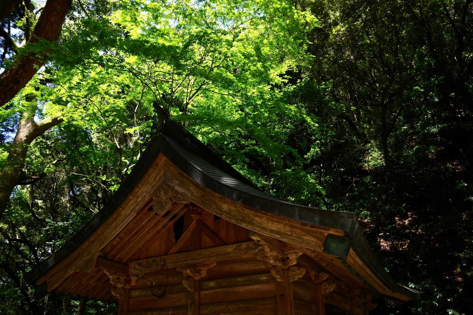 五百羅漢の入り口の仁王門の屋根　何となく撮ってみた