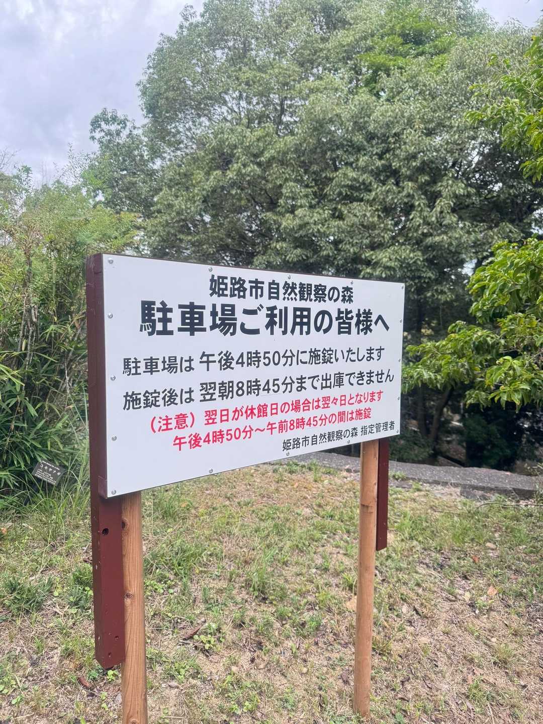 中央広場-桜山 周回コースの写真