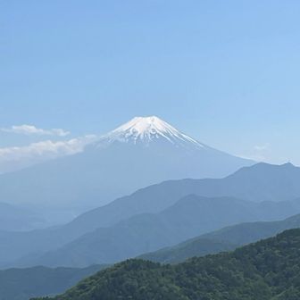そして最高の富士山が！！
雁ヶ腹摺山からほぼ眺望がなかったので、感動もひとしお🗻✨