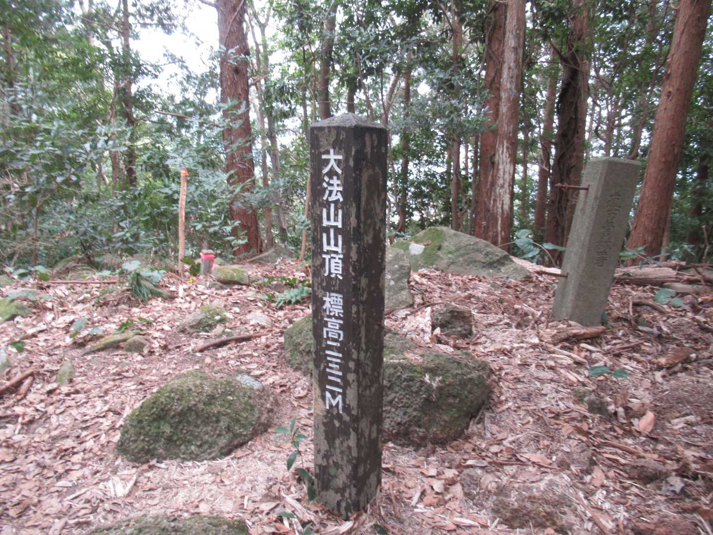 お喋りしながら通り過ぎそうになった・・大法山山頂です
