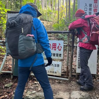 山の先輩達に案内してもらって
初のお花に会えました🌸