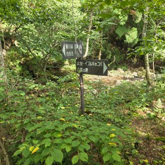 登山道に合流地点🪧
俺はここまでで良かったけど武奈ヶ岳まで行くらしい😮