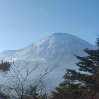 歩き易い道＋良い森なんですがどうも
場所の良さを生かしきれてない感ある