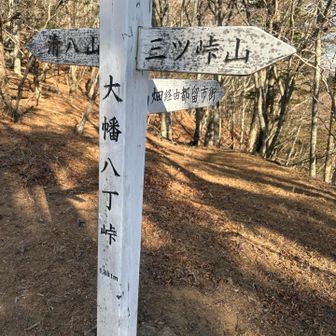 本日ラストの清八山まであと少し