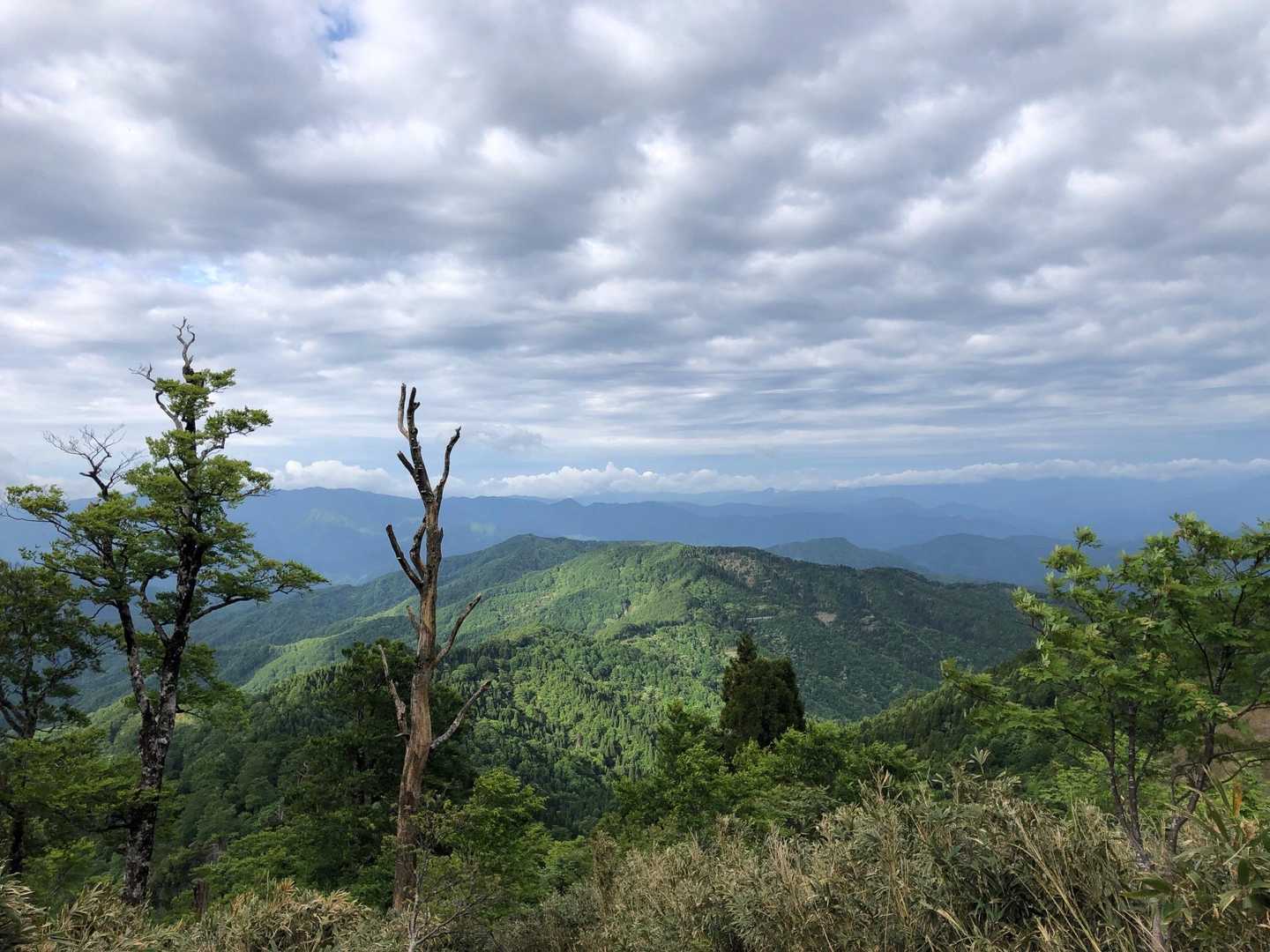 姫路コース登山口-扇ノ山 往復コースの写真