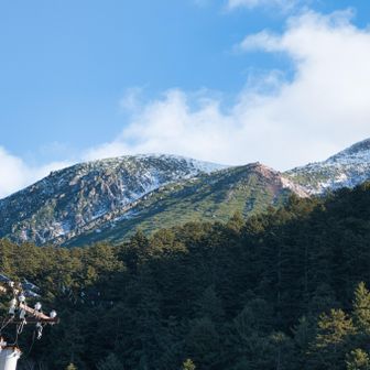 見上げた先に現れたのは、緑の斜面の上に静かに雪をまとった雌阿寒岳🏔️

その景色に背中を押されるように着替えを済ませ、自然と足は登山口へ向かっていました🚶‍➡️