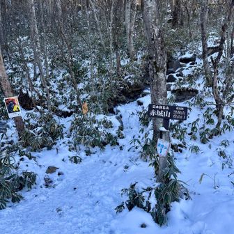 登山口
赤城山はここからいきなり急登です