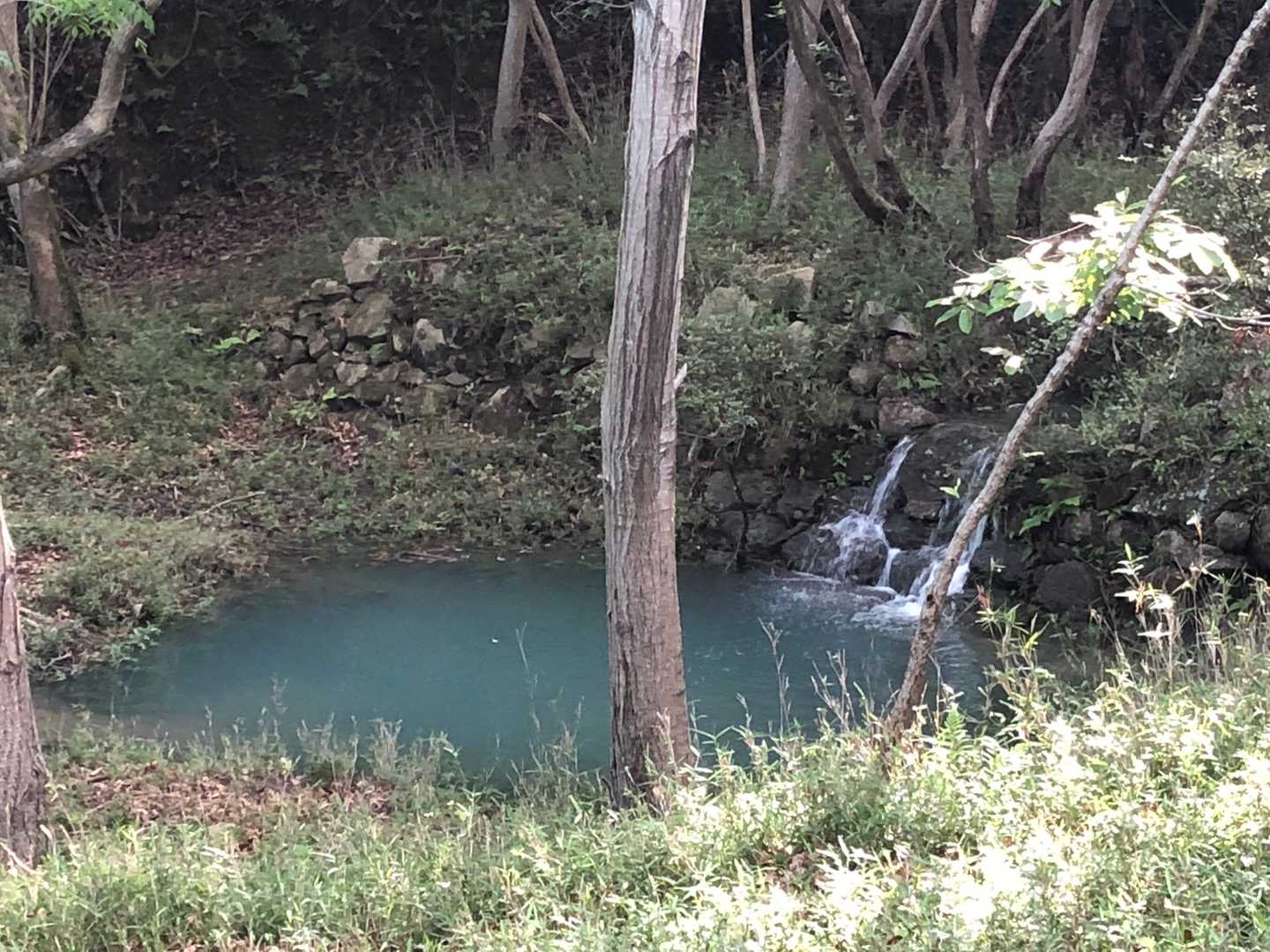 京見山-トンガリ山-才登山口 縦走コースの写真