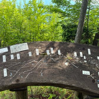 ちょっと年季の入った山座同定図