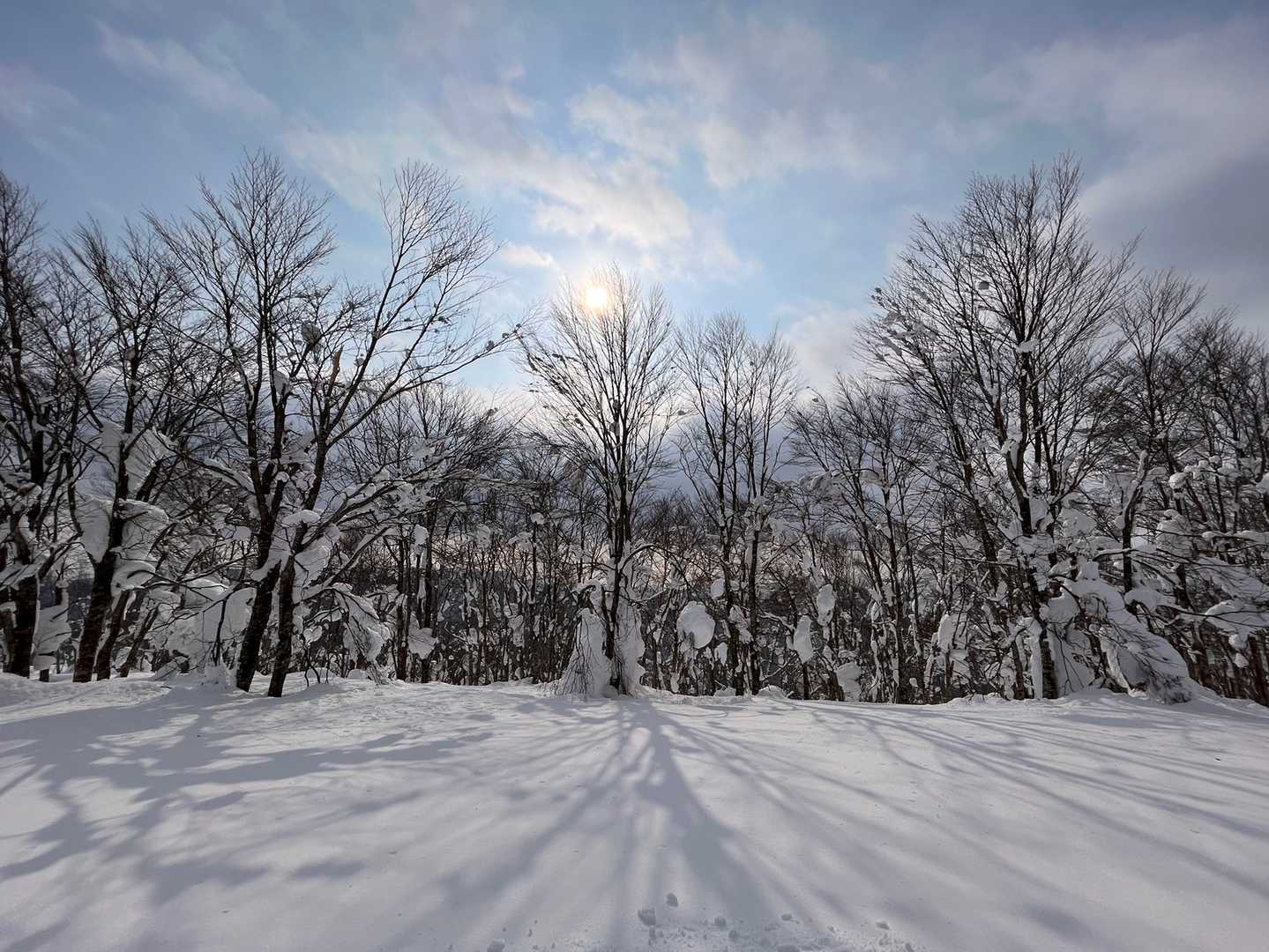 最高😍