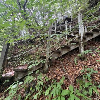 傾斜が結構あるなと思ったのはこの辺くらいでした

全体的にとても楽ちんで歩きやすい