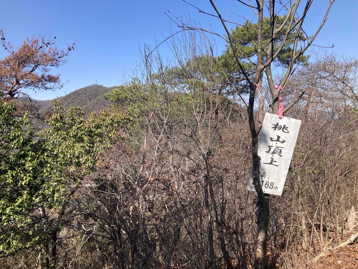 4.桃山