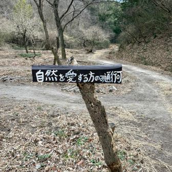 崇台山 難しい問い😓