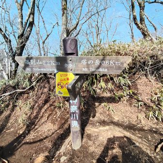 金冷し
左手　鍋割山
右手　山頂