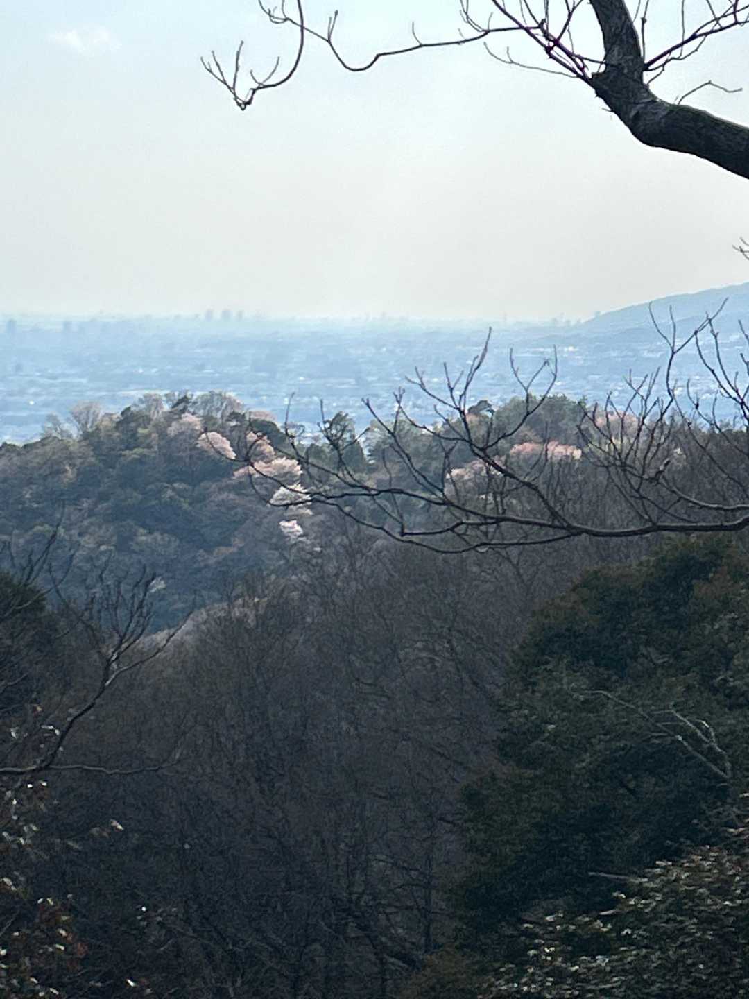 六個山 往復コースの写真