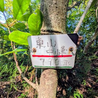 ㊗️４座目登頂🎊