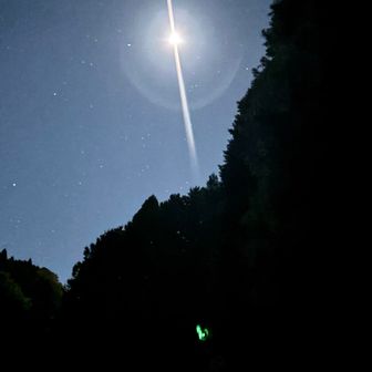 丸1日動く体力。自分にもあるんですねぇ。
帰りのラーメンが染みました🥹
ご馳走して頂きました。ありがとうございます。

カロリー収支±0