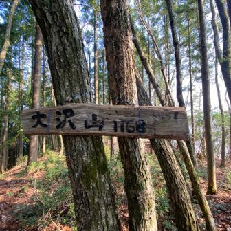 ٩(๑❛ᴗ❛๑)۶