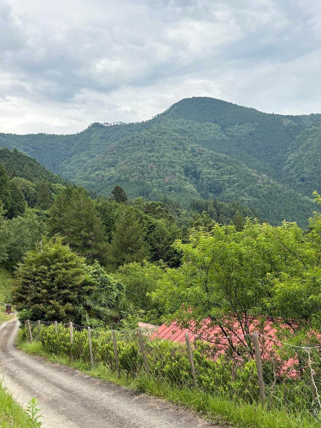 櫃ケ岳