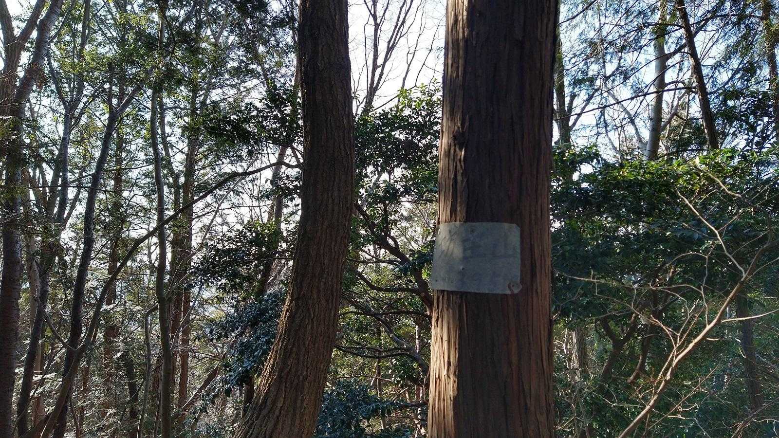 最後に坊主山、山頂標識は皮かな？