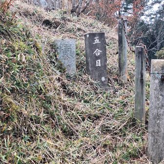 五合目
登りは大丈夫(≧∇≦)b