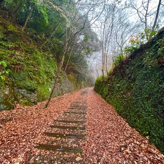 電車通るにはやっぱり細い気がするな😅