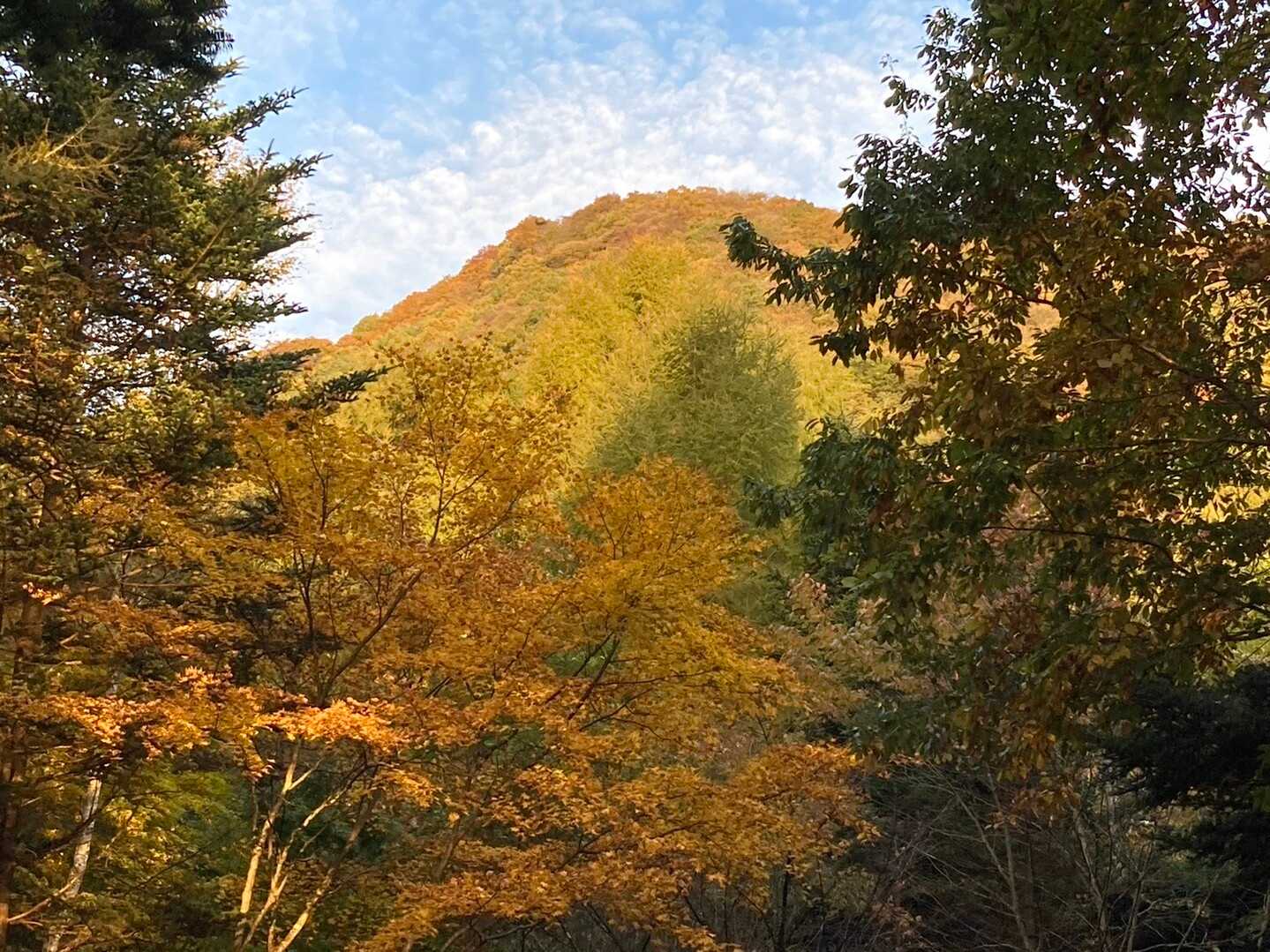 離山の写真