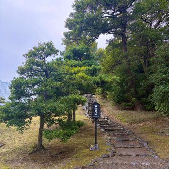 富士見山⛰️
晴れてたら富士山
見えたのかなー👀
