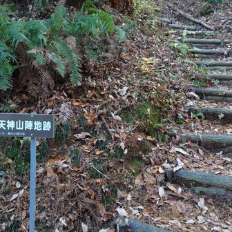 👣史跡探訪コース　