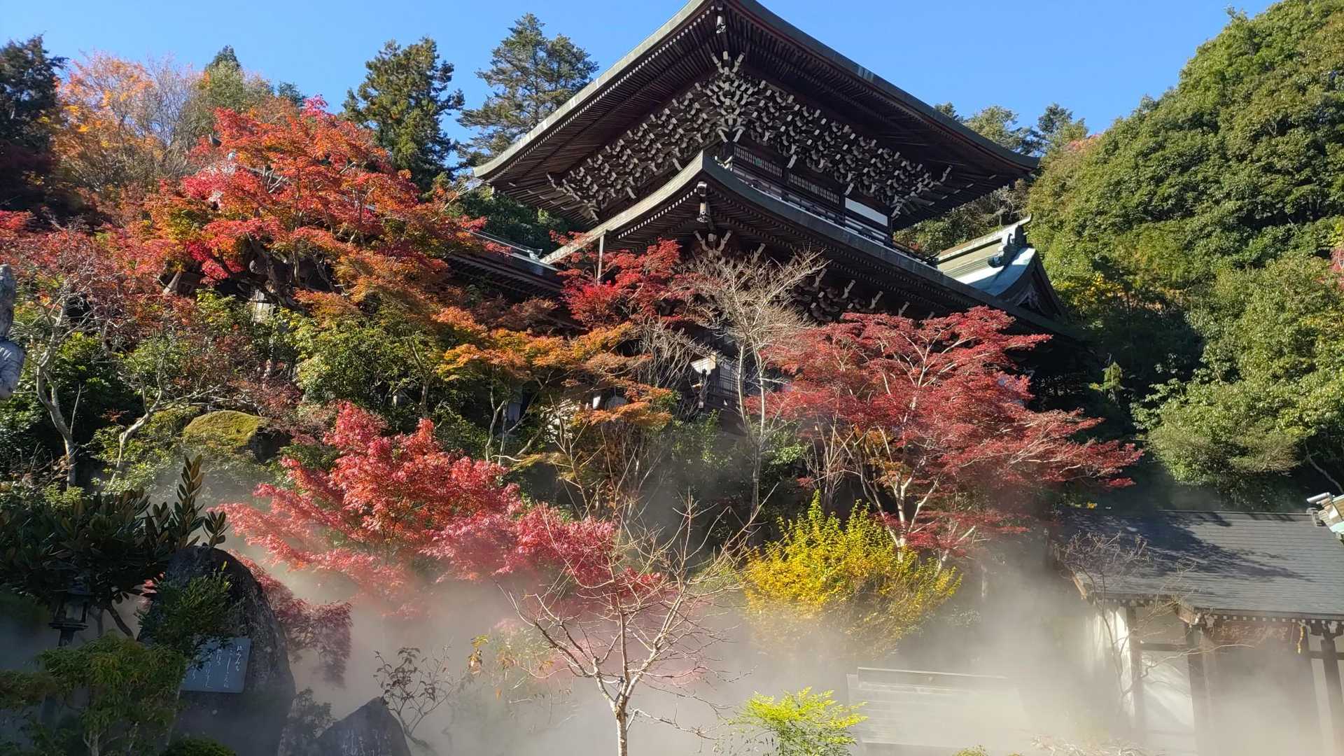 弥山 往復コースの写真