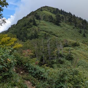 登山道が分かりますね!
誰一人居ないようです
