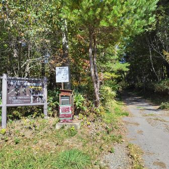 もっと賑わってると思いきや、先行１組のみです。。。