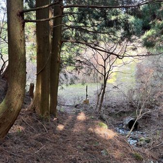 ひたすら降って登山口へ到着
ミツマタ群生地はまだまだ先