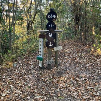 いつもの小笠山　これからの時期、よろしくお願いします🙇